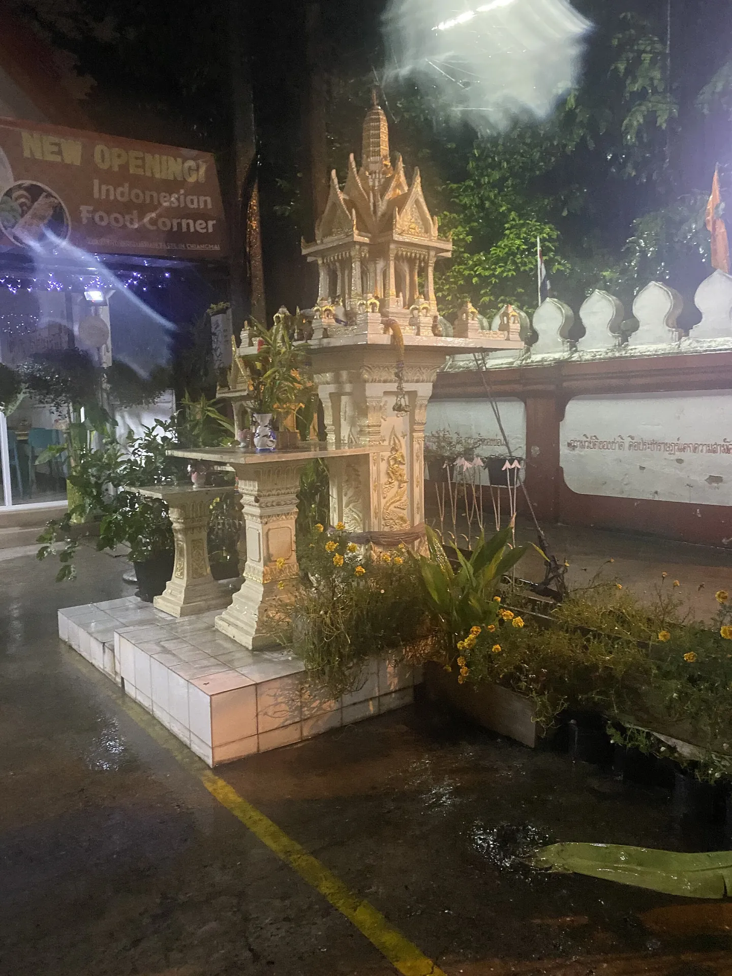 The Bodhi Tree House