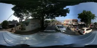 Rajawali karang tengah