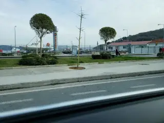 Saka Meclisi