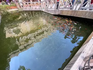 Mavibahçe Sini