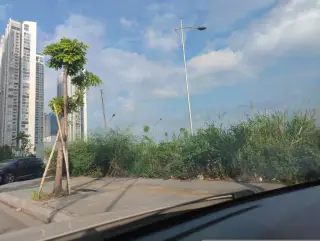 Thẩm Mỹ Viện Quốc Tế XanhPon