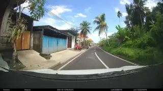 Jeroan Alit Baleran Jukut Paku