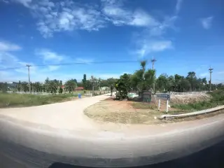 Lemon Tree Garden