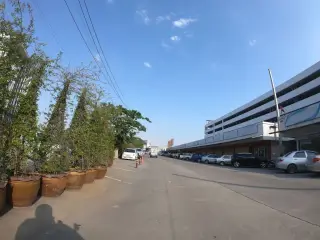 Sng Tin Ki