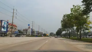 Timber Coffee and Bar