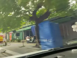 Trâu Quán