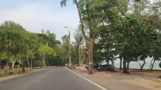 สวนพฤกษศาสตร์บ้านเพ