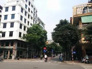King dakgalbi_19 tuệ tĩnh